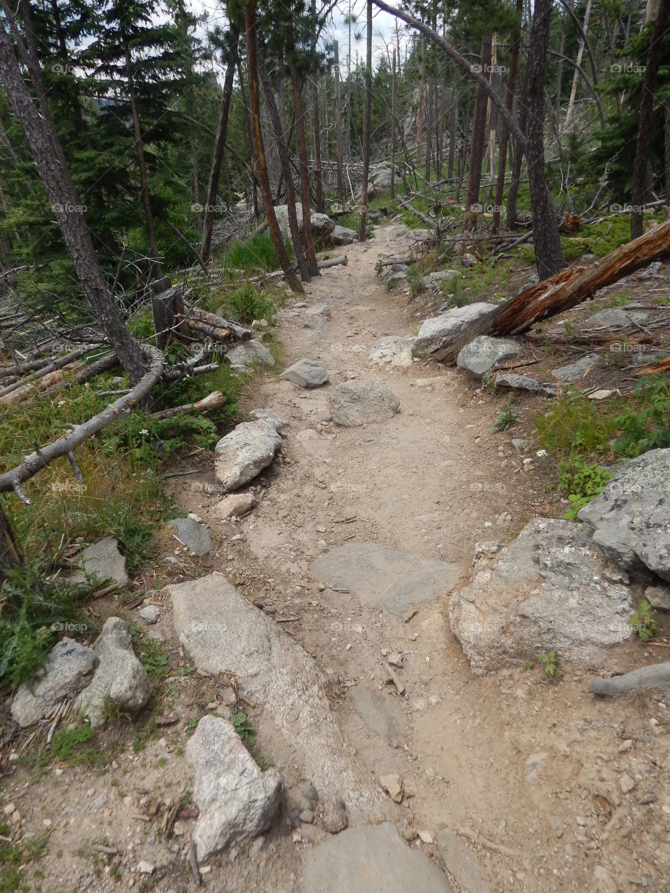 Black Elk Trail going down
