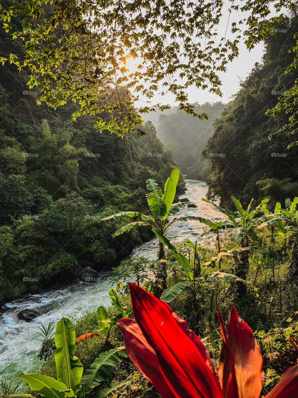 evening view on the river at sunset