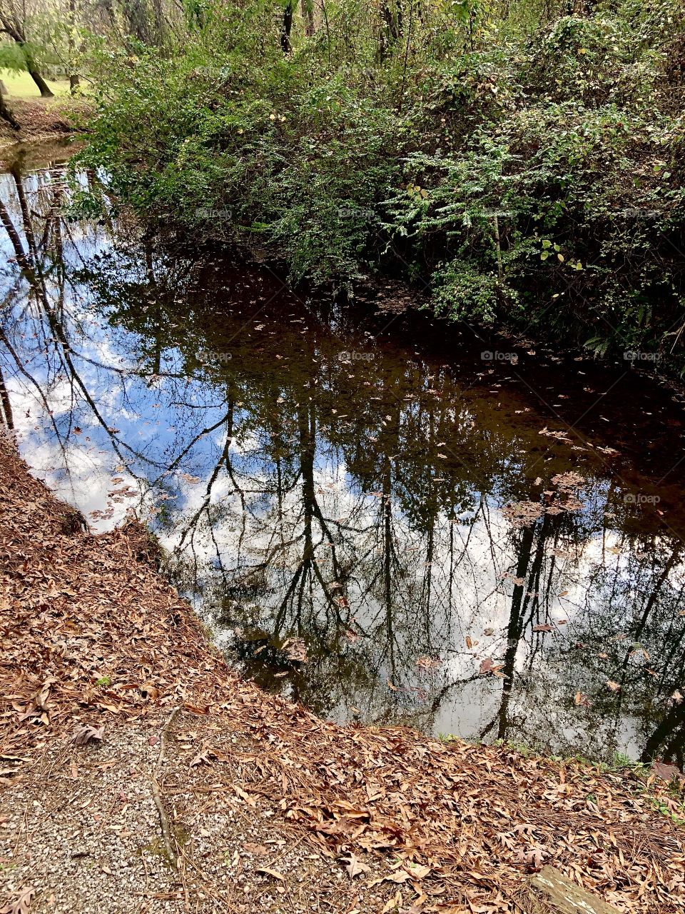Clouds and sky reflecting in stream