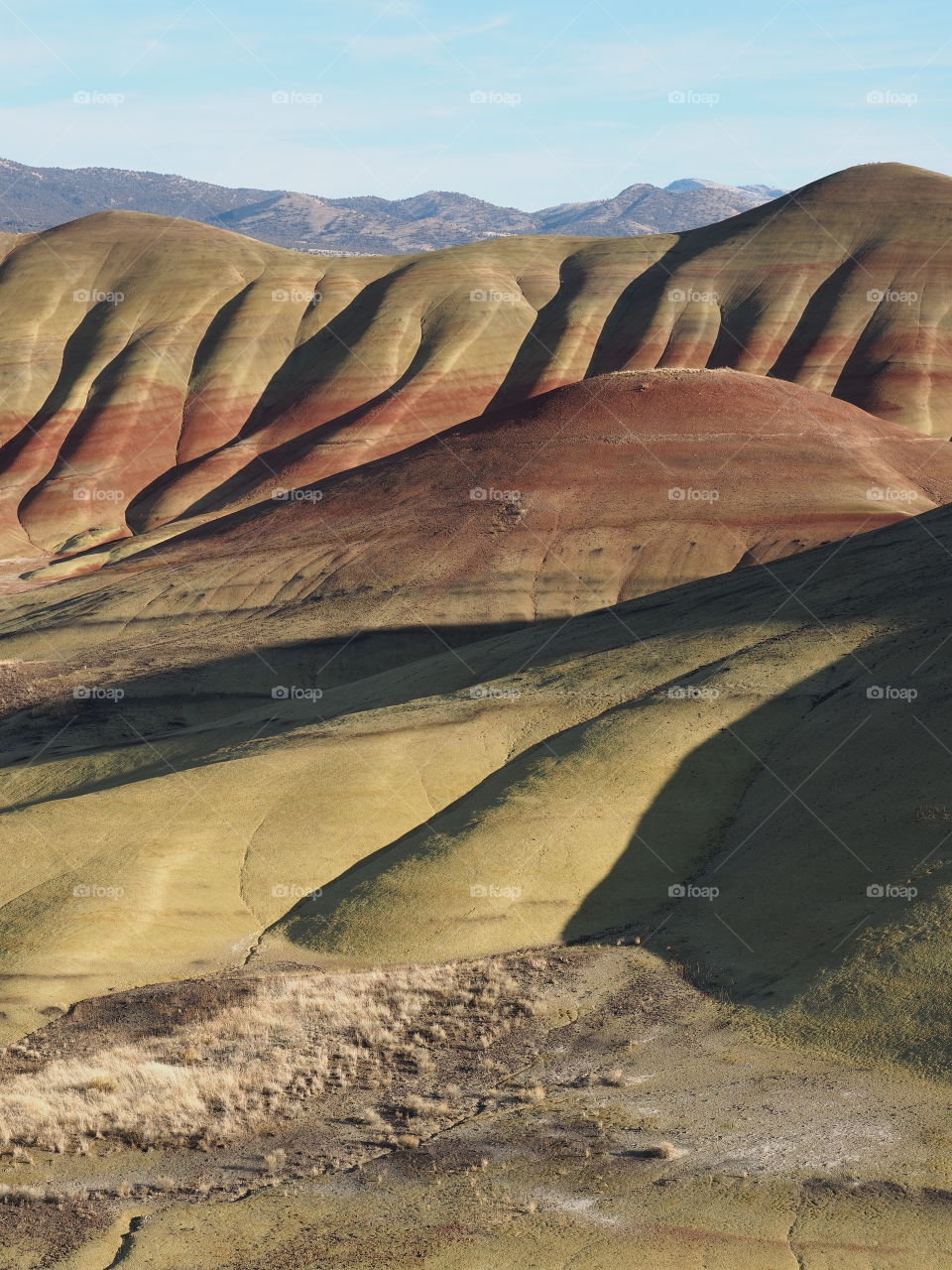 The incredible beauty of the red, gold, and browns of the textured Painted Hills in Eastern Oregon on a bright sunny day.