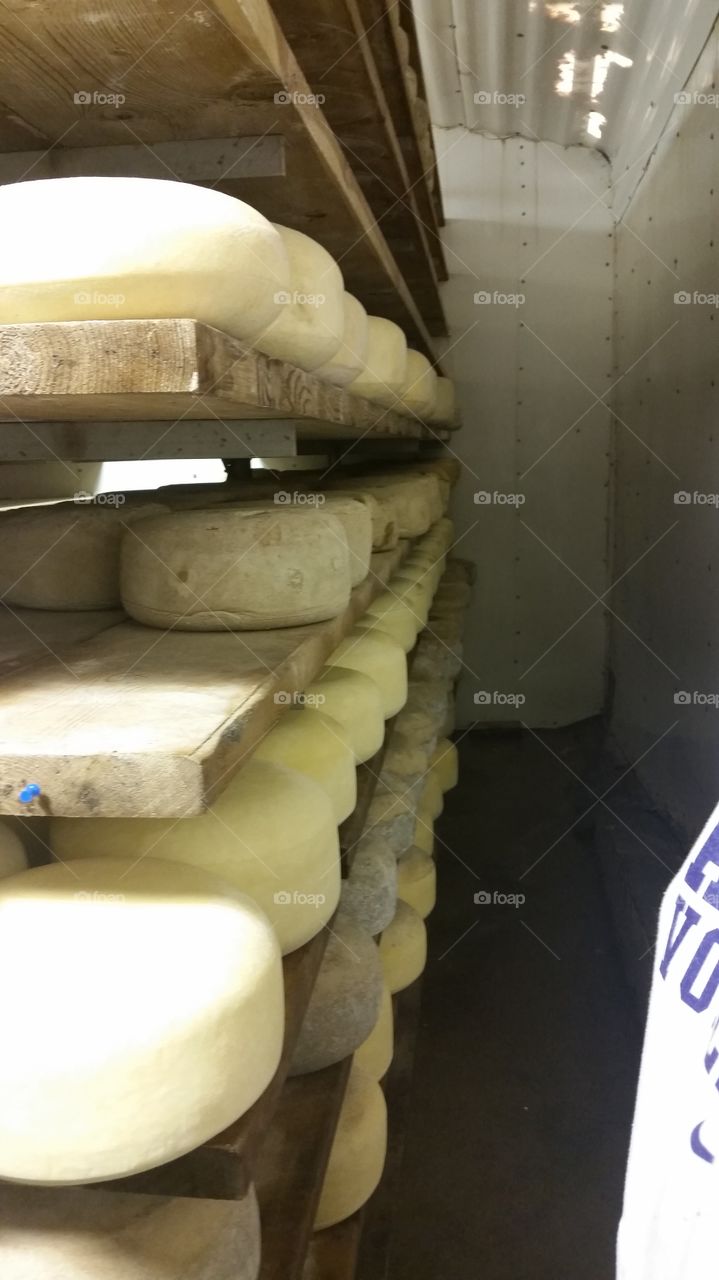 Aging cheese