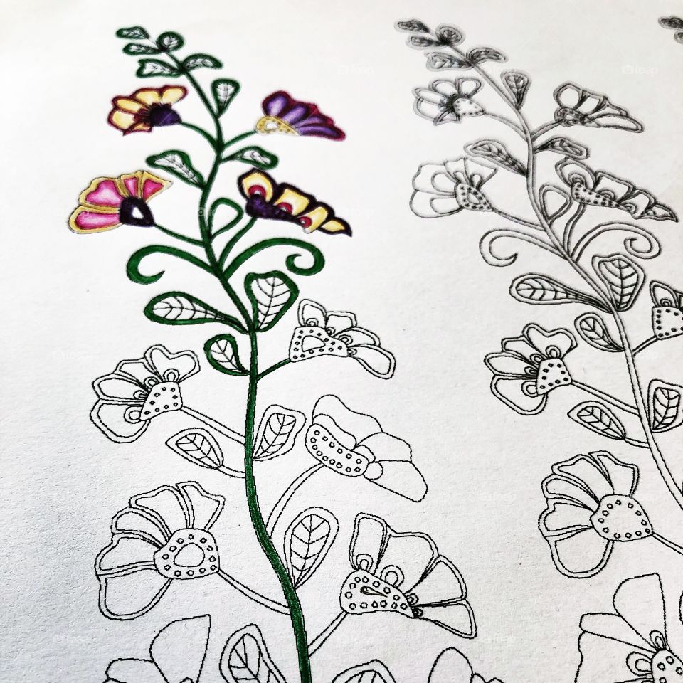 Coloring ideas for coloring books enthusiasts to enjoy calm stress-free afternoons.