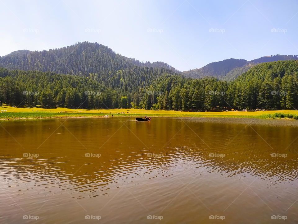 amazing view of lake in the park with pine trees and sky