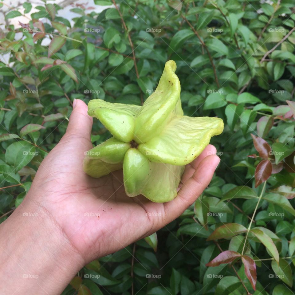 Star fruit ...