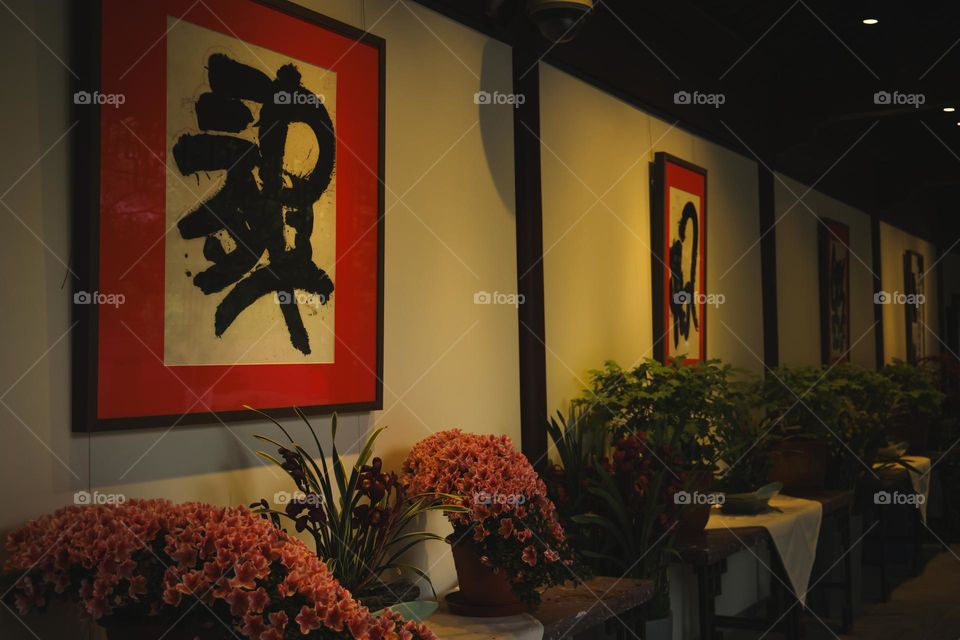 花展新春