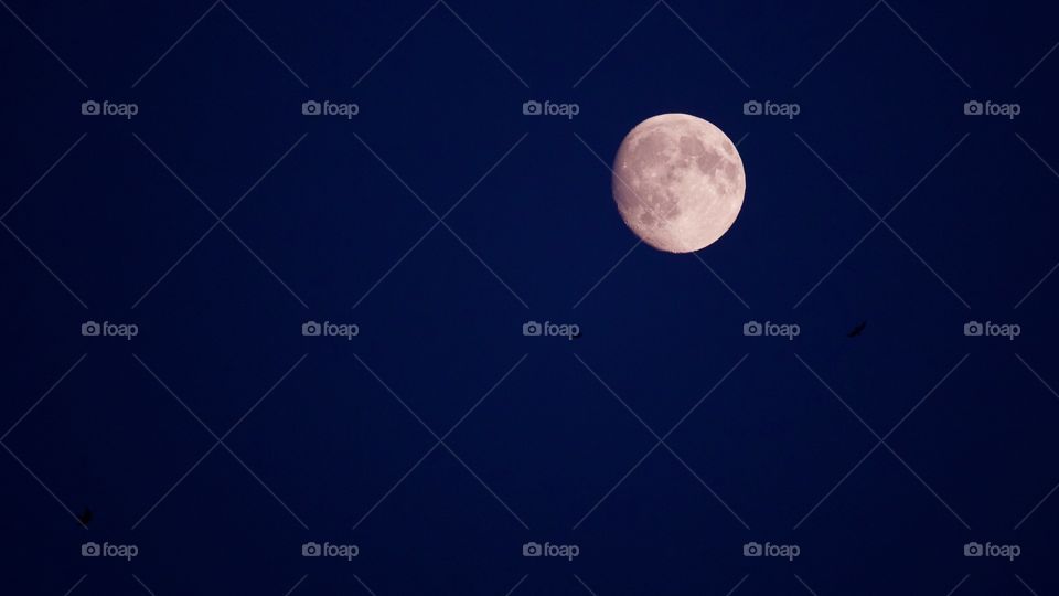 Moon during blue hour
