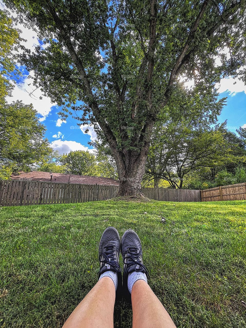 Woman’s legs and feet showing while looking up at a tree, the wonder of nature, studying trees, outside summertime fun, first person view
