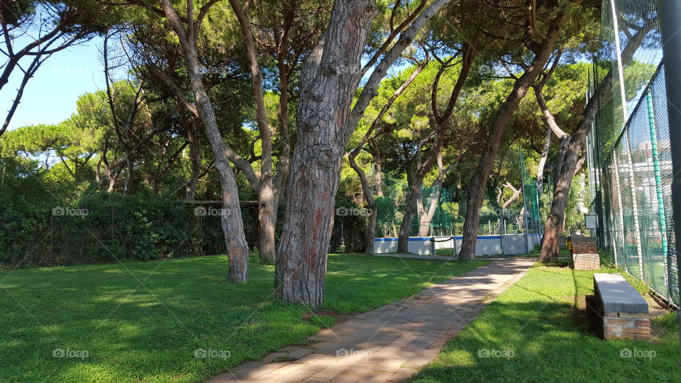 Pinewood. shooted in Baia Domizia, Italy. this location is situated in a pinewood and is an appreciated seaside village
