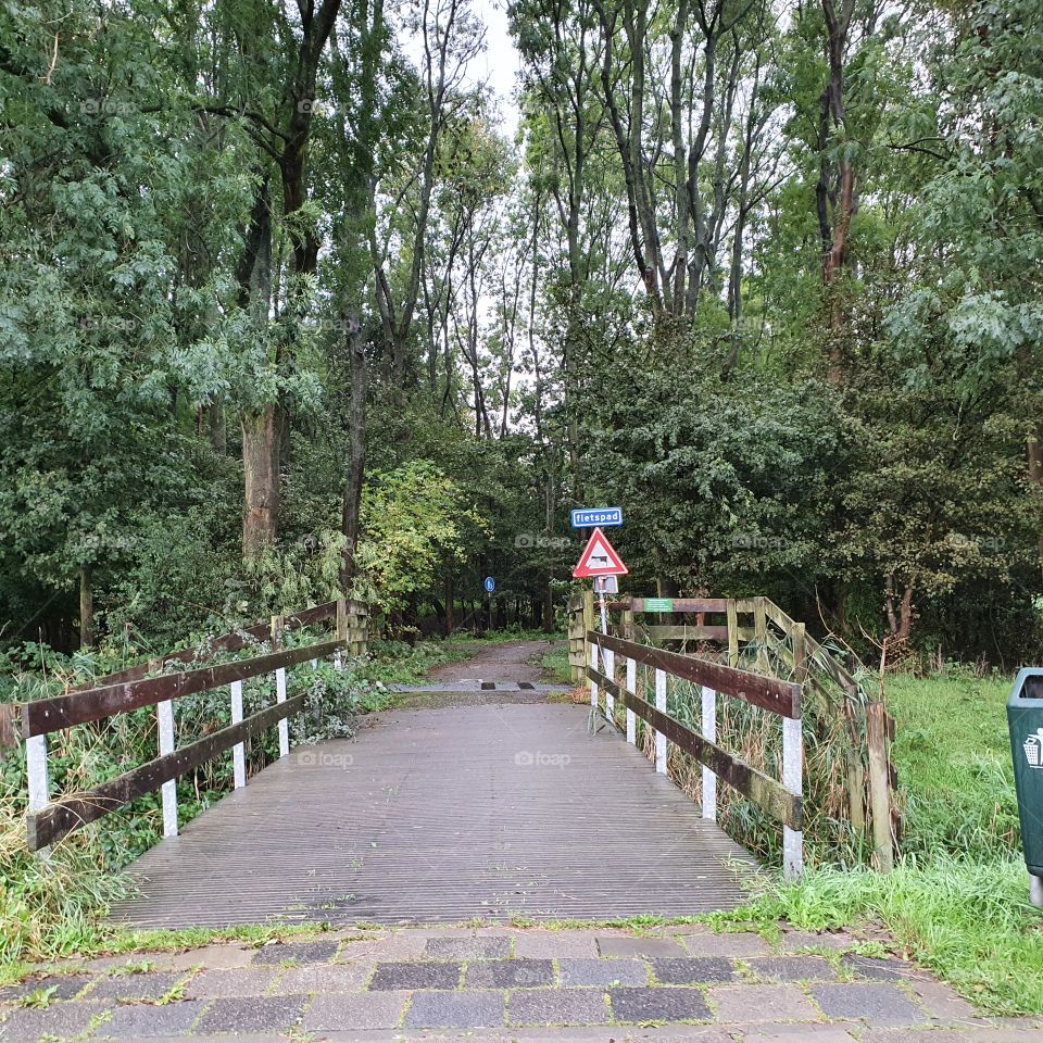 Wet autumn day in spijkenisse hartelpark the Netherlands.
