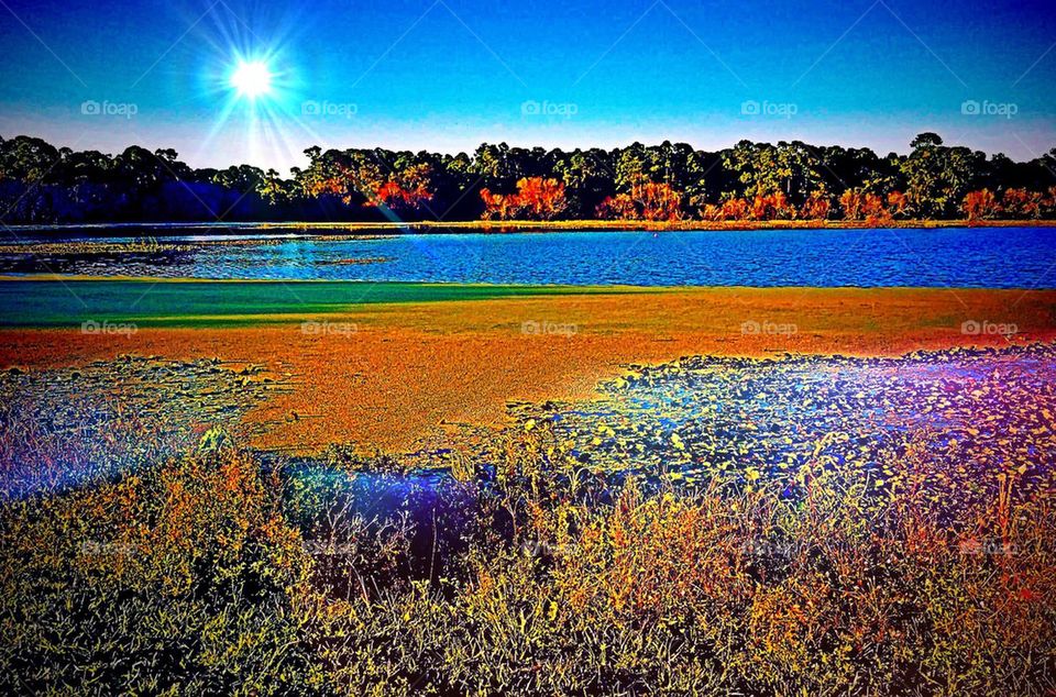 Ecosystems in sunlight 