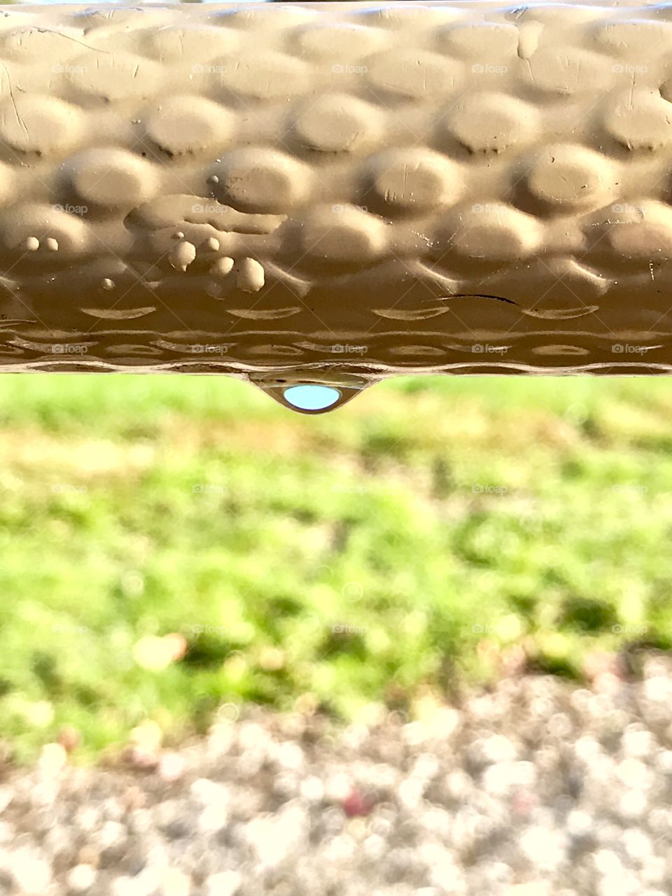 Dew drop