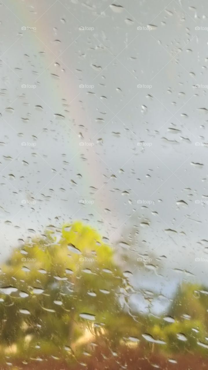 Raindrops & Rainbow