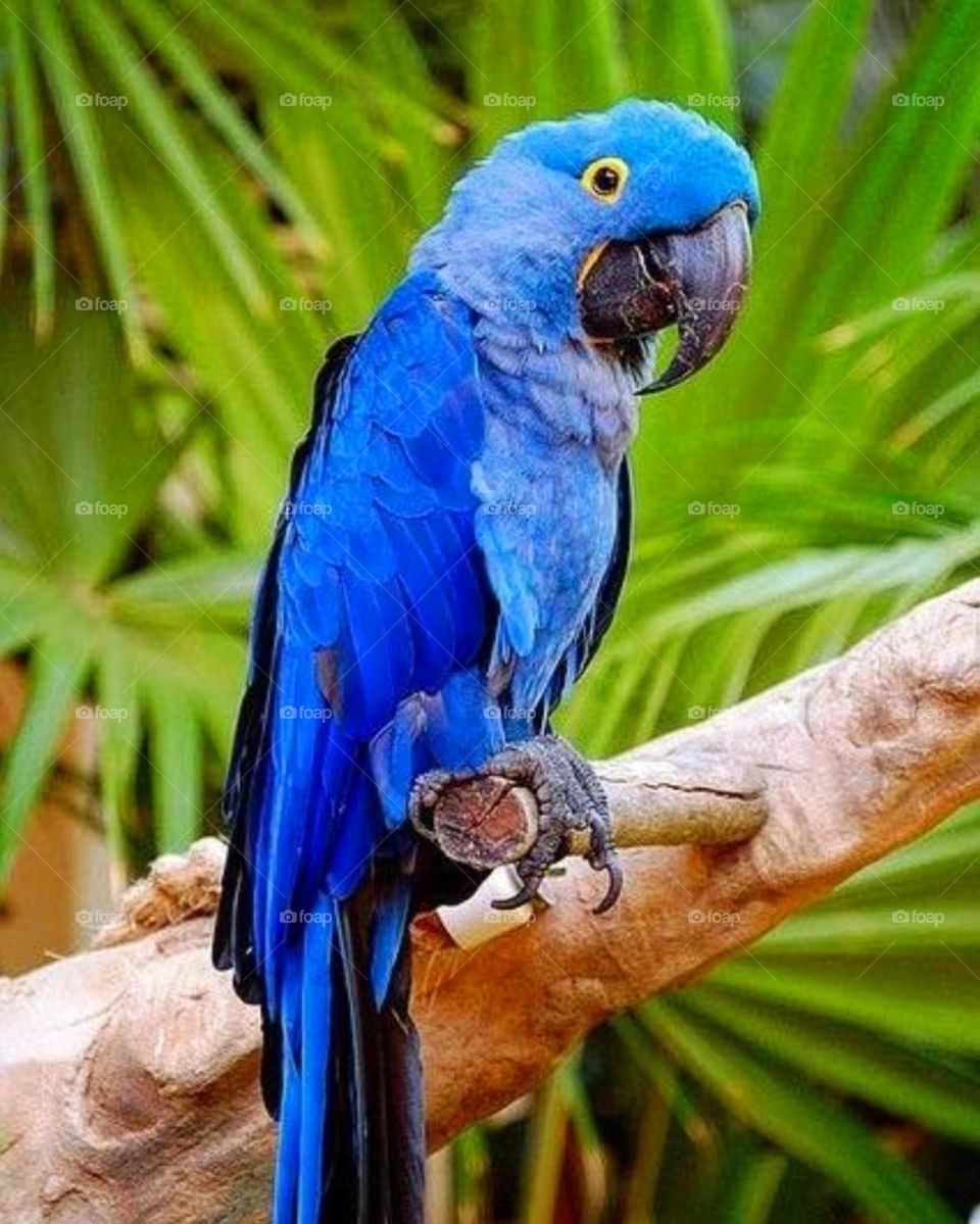 A very beautiful photo with mixed emotions.