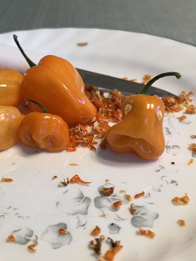 Habanero 