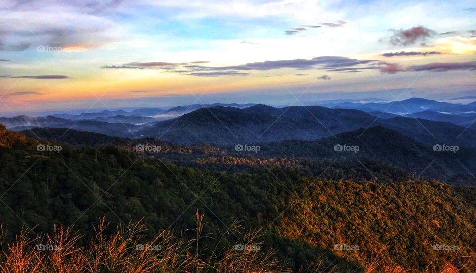 Fog in the mountains