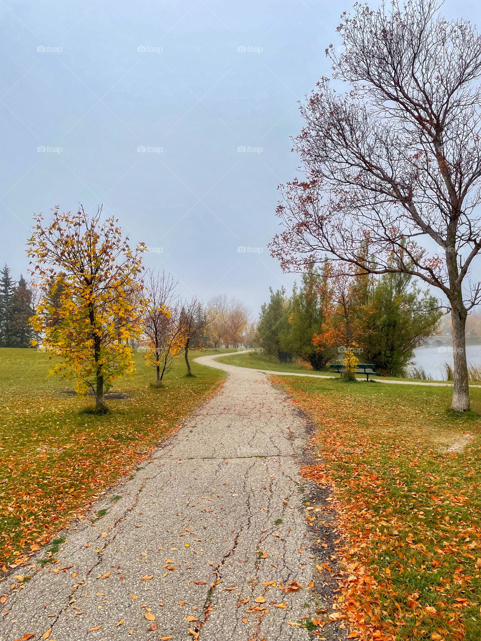 Foggy autumn morning