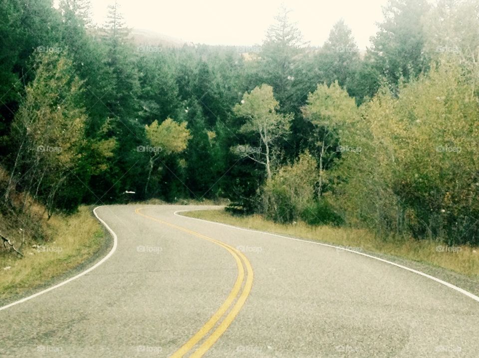 The Road Less Traveled