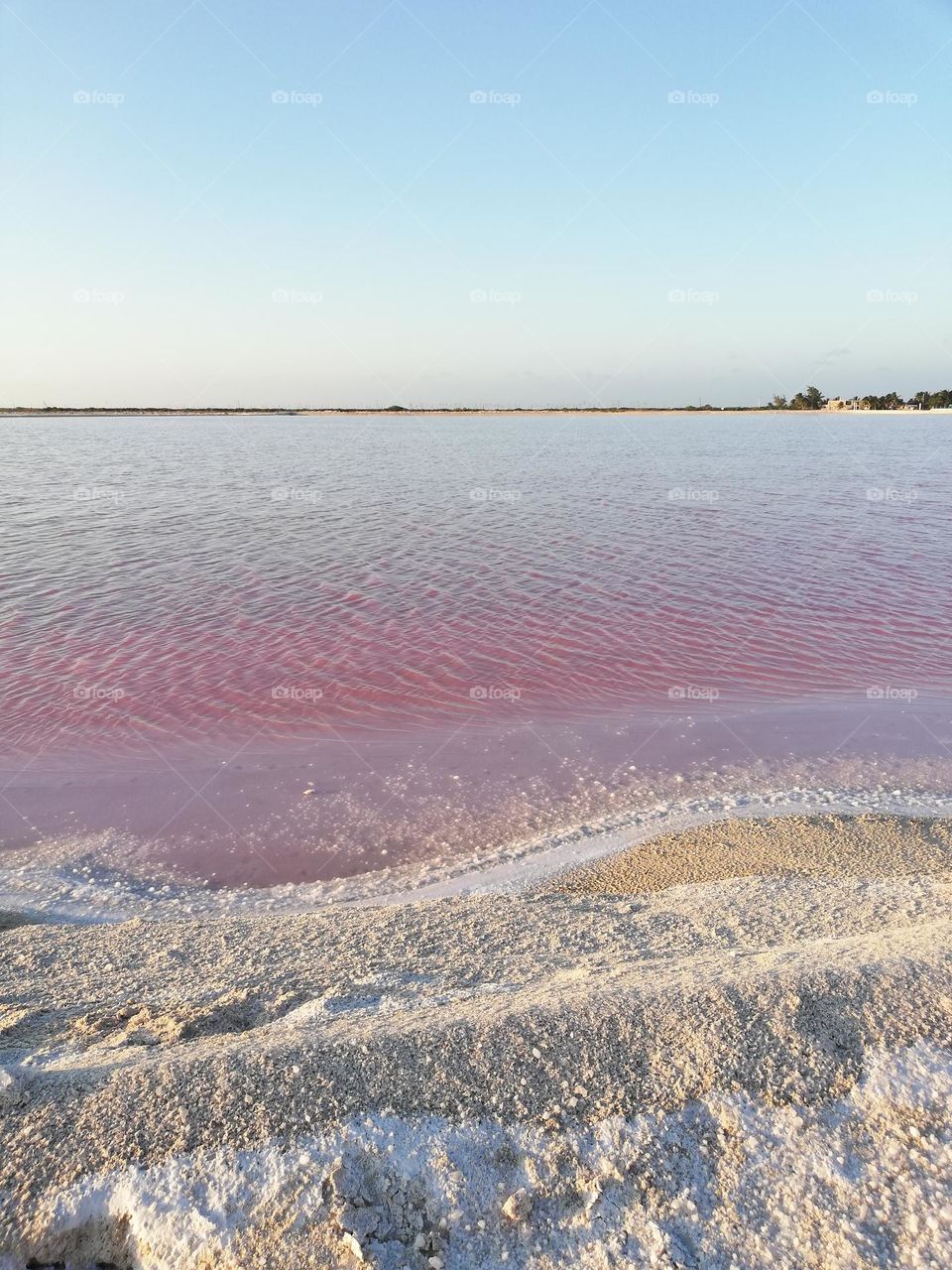 pink natural water agaist sal and white sand
