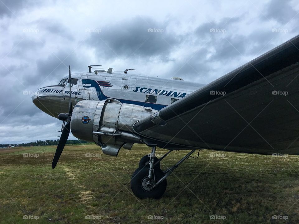 Daisy, Fridtjof Viking, DC-3