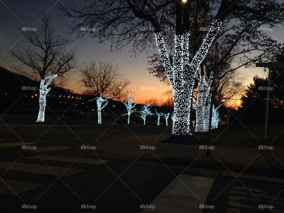 Liberty during Winter