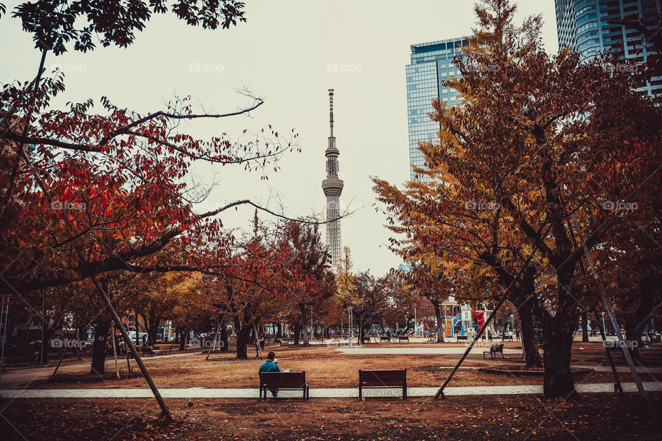 Parks for Recreation. A moment you finally fond the bench to rest on.