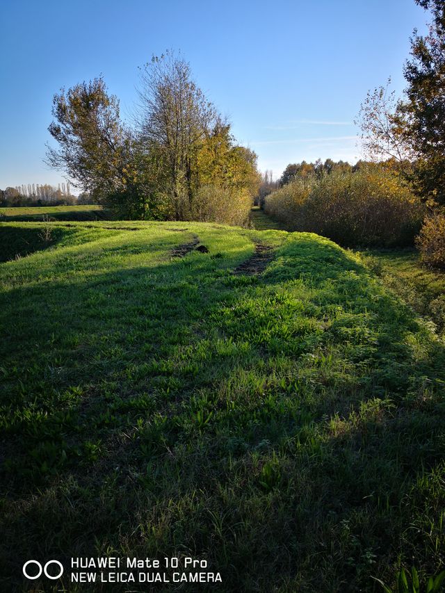 nature