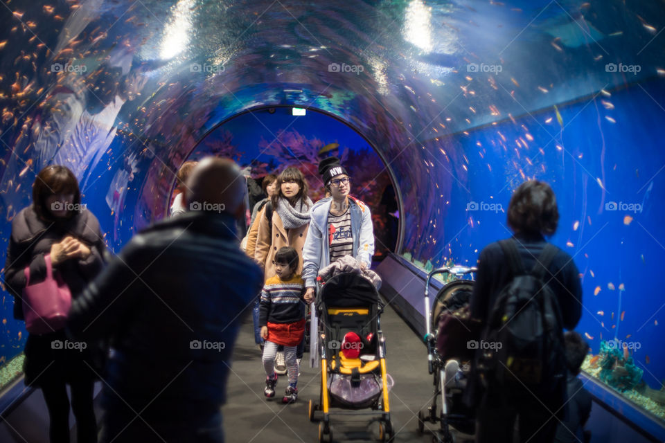 Family walking in aquarium tunnel
