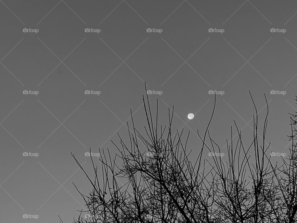 The moon is a magical sight. I just love how it plays off of the local landscape. 