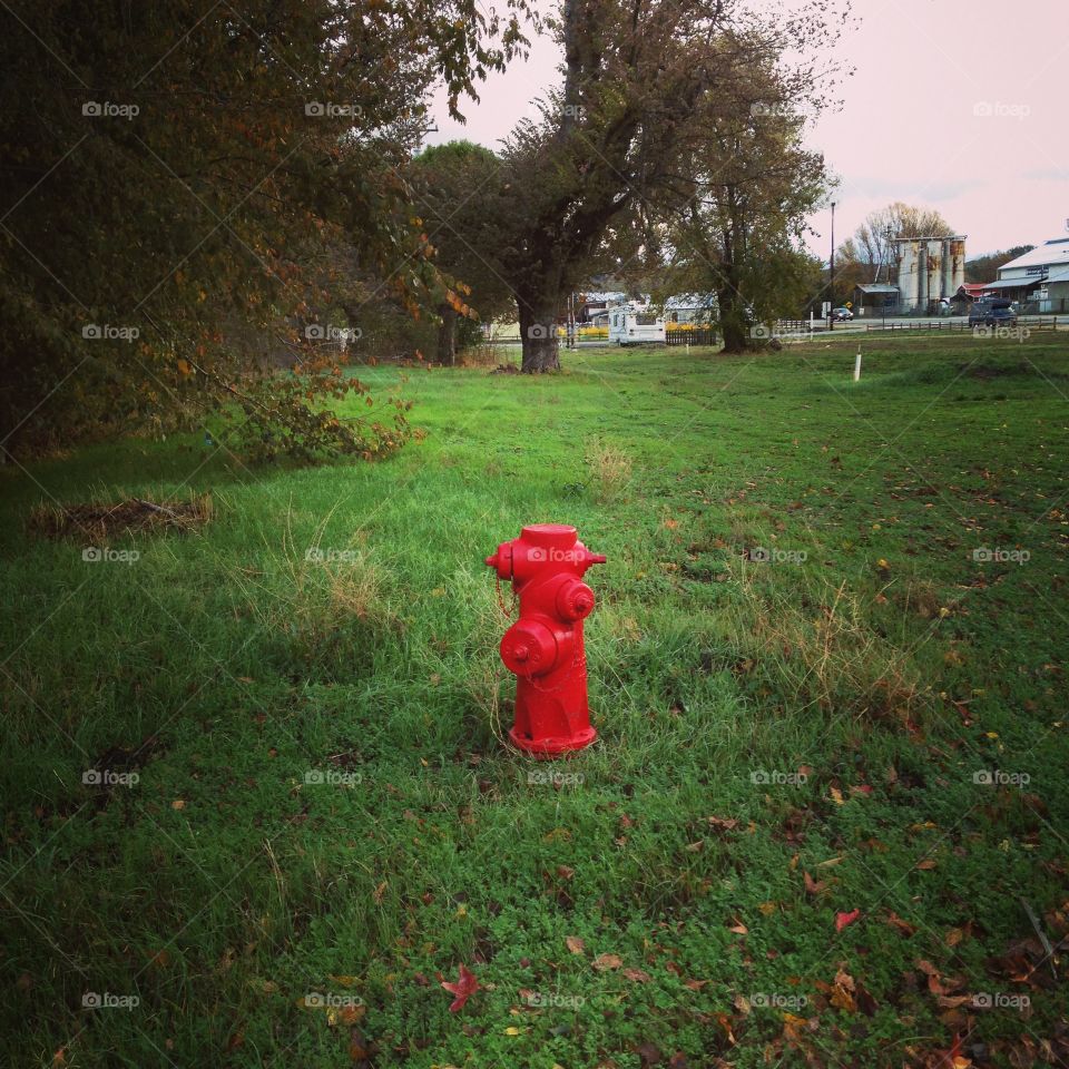Solitary. Red fire hydrant in a green field