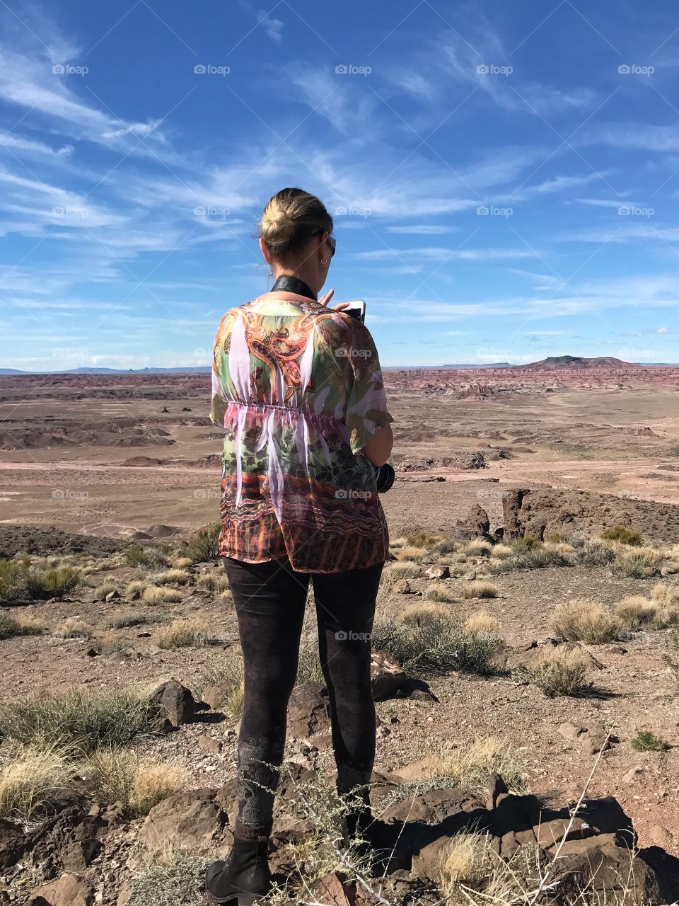 Painted Desert