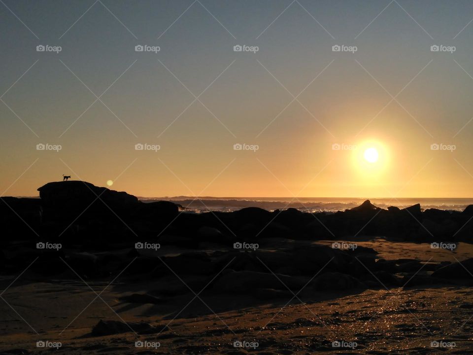 beach, the sunset on the sea dazzles and makes you see the silhouette of the rocks and a dog on them.