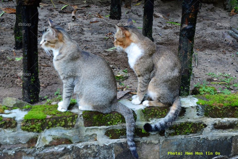 Two siblings sit in same posture 