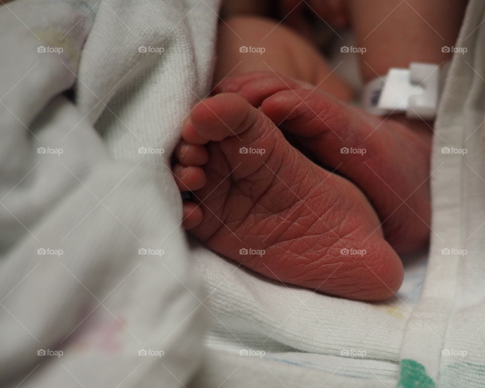 A newborn baby's cute feet and toes are still red. 