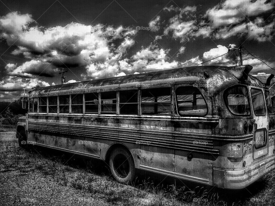 The Bus