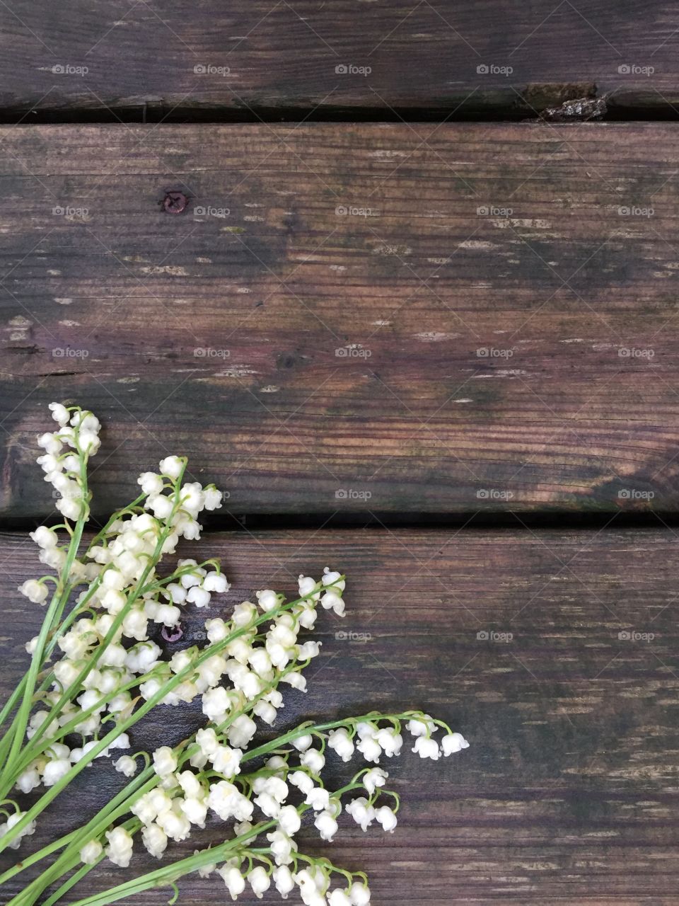 Lily of the valley flat lay on a dark wooden surface (portrait)