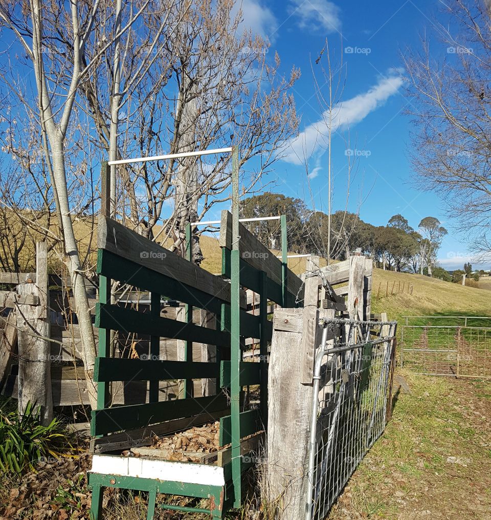 Cattle yard