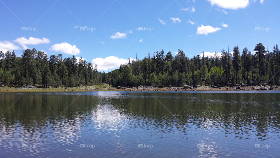 Reflections on Lake A1