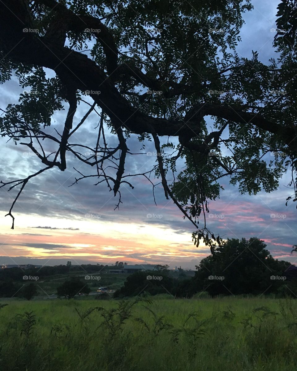 O #amanhecer na Terra da Uva. Em Jundiaí, 06h30.
🌅
#morning
#paisagem
#fotografia
#mobgrafia
#céu
#natureza