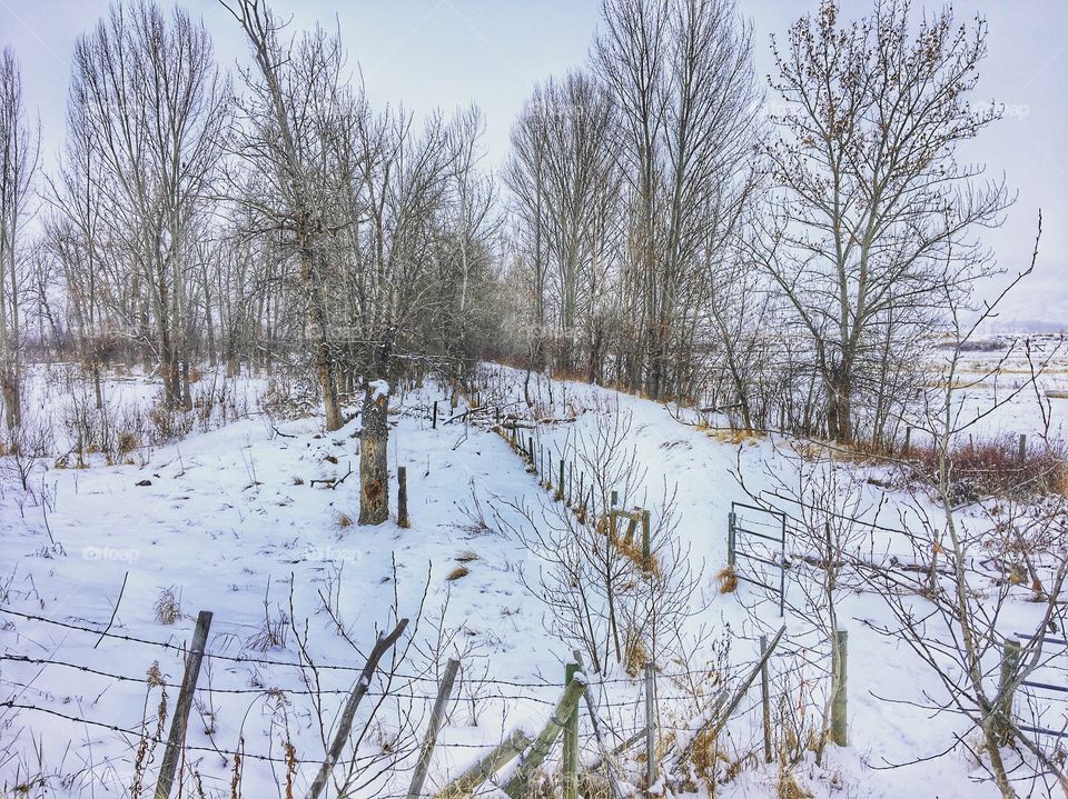 Beautiful winter day 