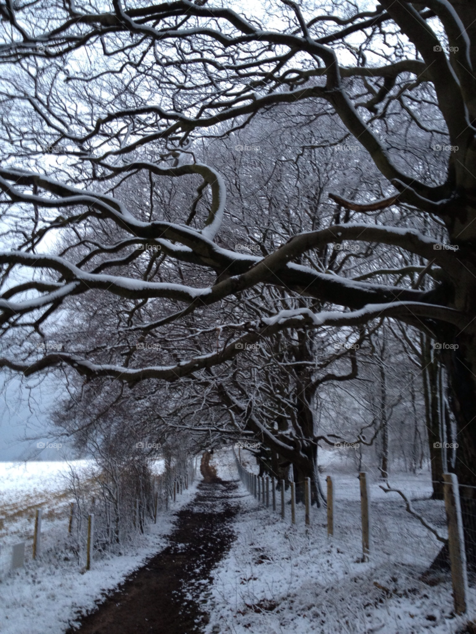 snow scene road to cleeve common cheltenham glos uk by zippypitt