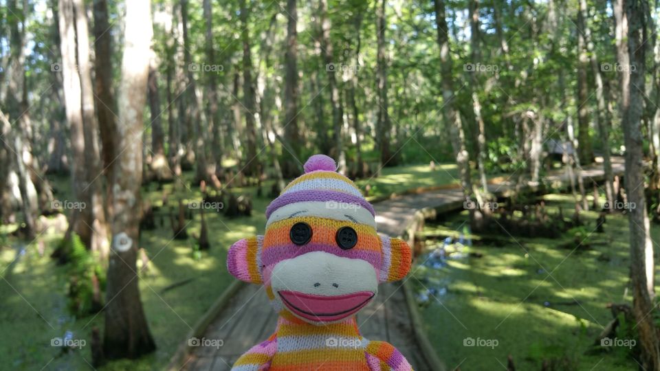 The Traveling Sock Monkey at Lafitte National Historic Park, Louisiana