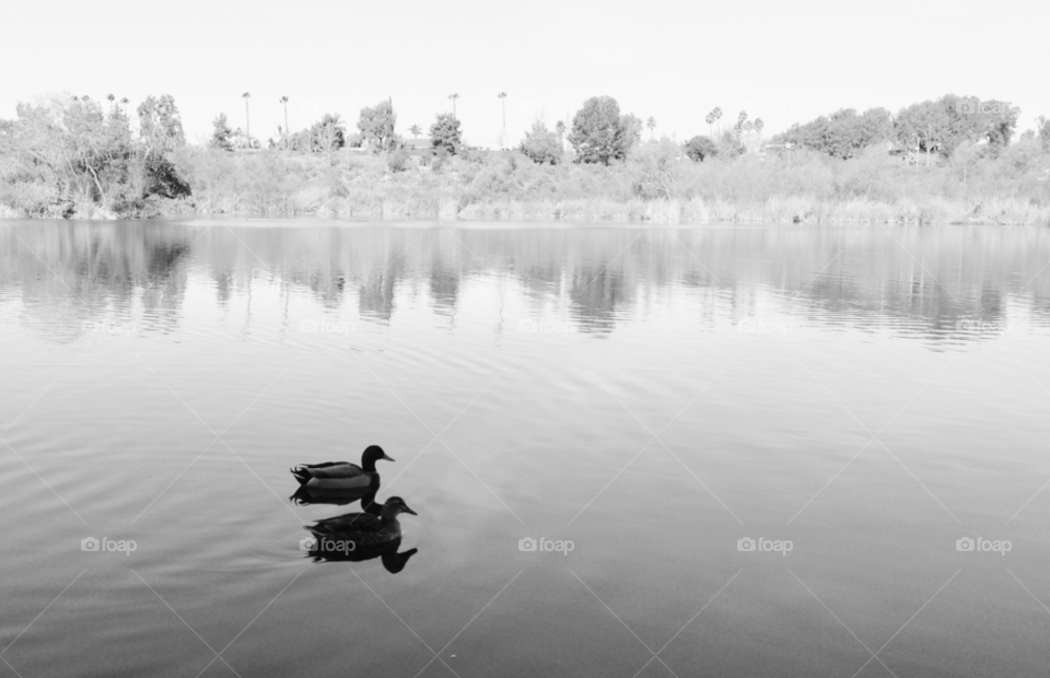 nature outdoors water lake by ninjacentral