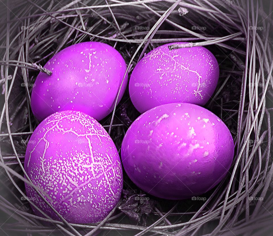 Beautiful purple textured eggs.