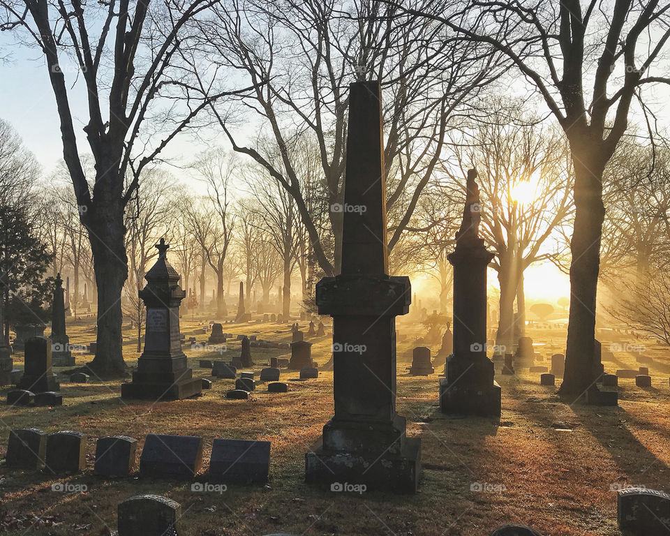Sunlight through fog in a cemetery 