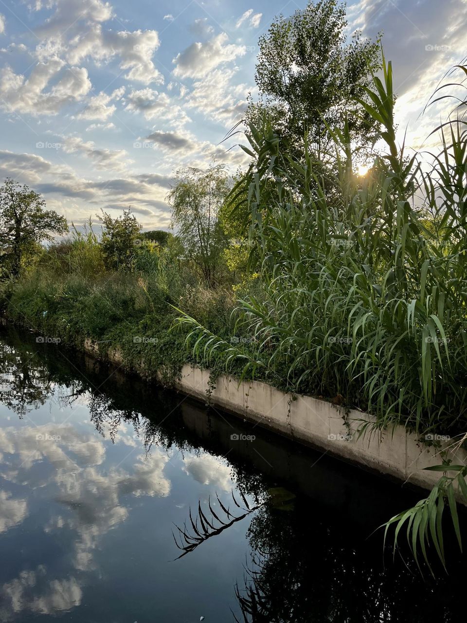 I captured the natural mirror, a reflection of nature, where the sun hides amidst the branches, creating a visual symphony of peace and beauty…