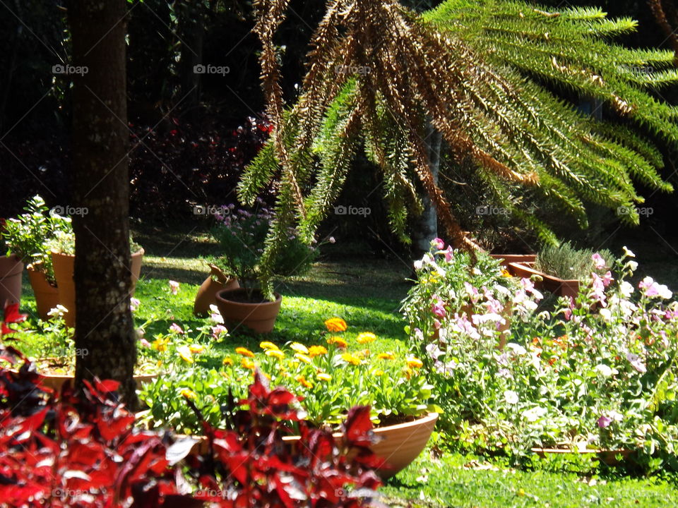 1st theme garden park in Brazil