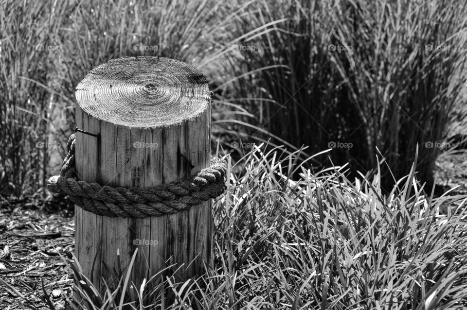 Black and white close-up of a post in a garden wrapped with rope.