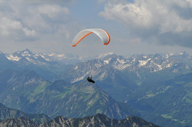 Fly