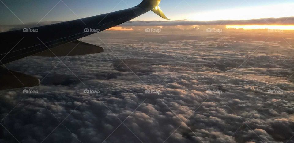 Above the clouds