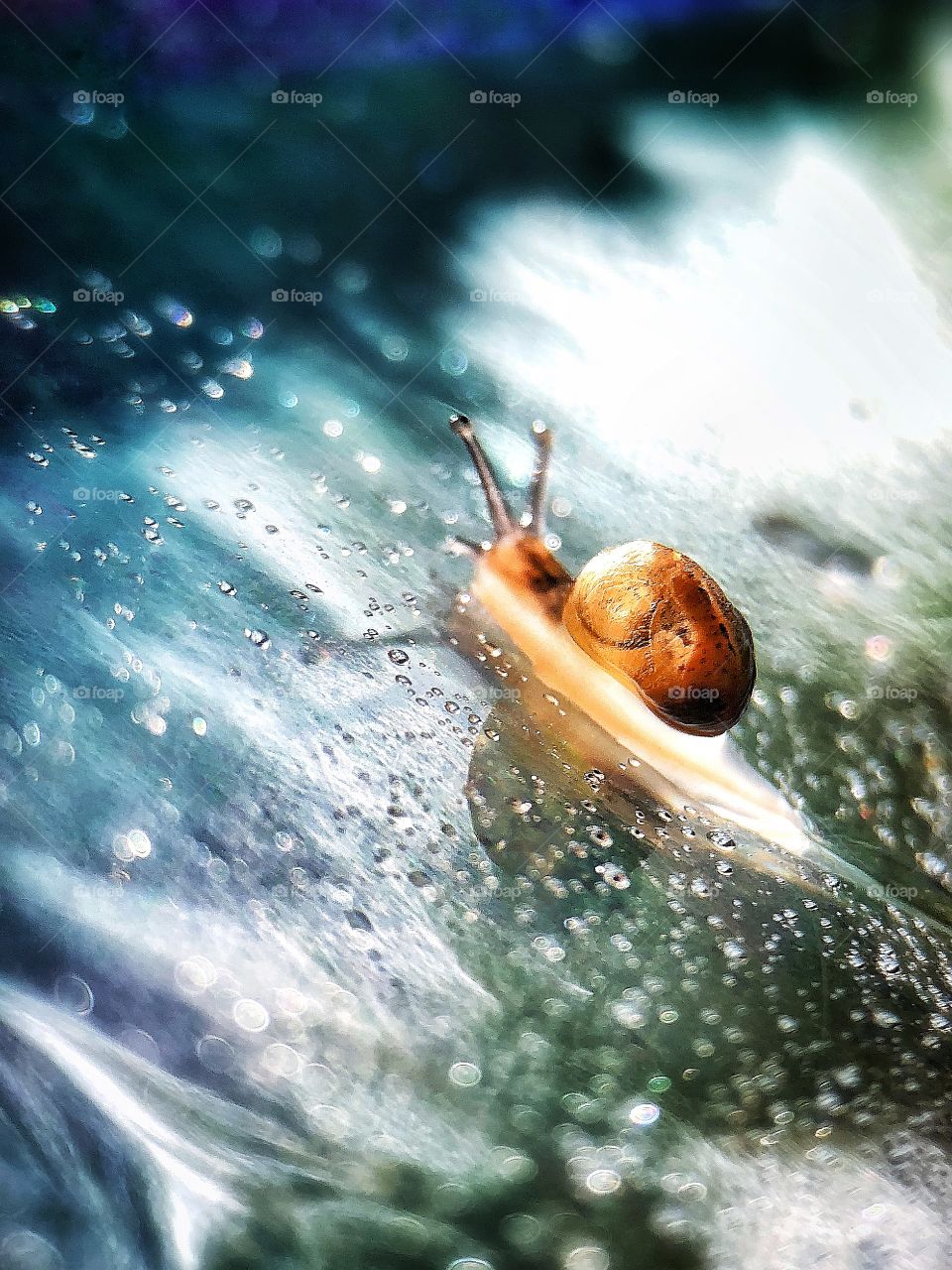 A small snail surfing abstract blue sea waves